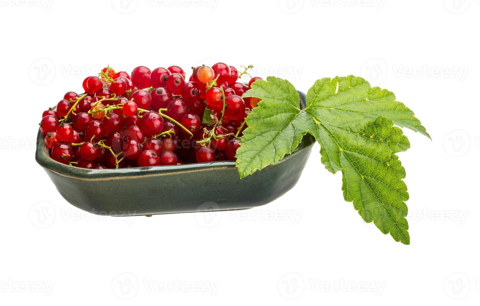 Red currant in a bowl on white background photo