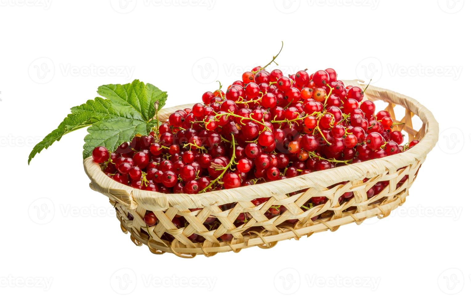 Red currant in a basket on white background photo