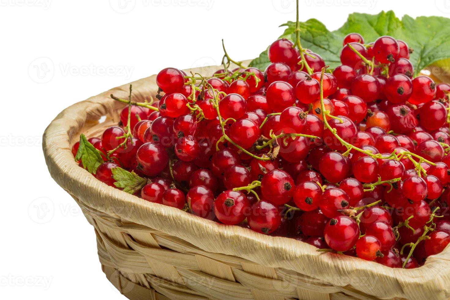 Red currant in a basket on white background photo