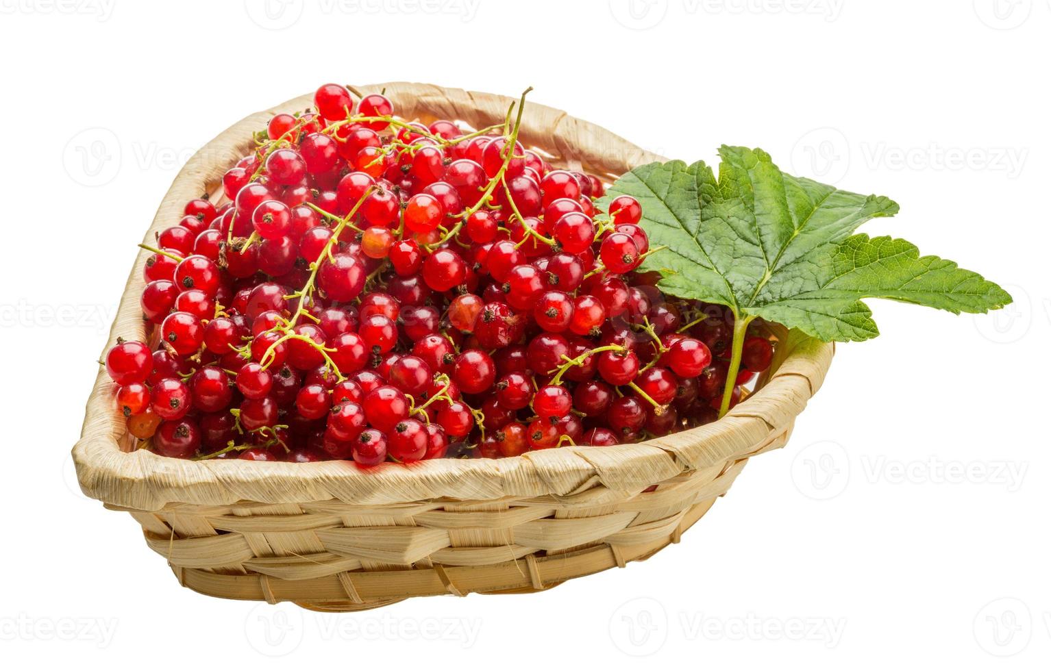 Red currant in a basket on white background photo