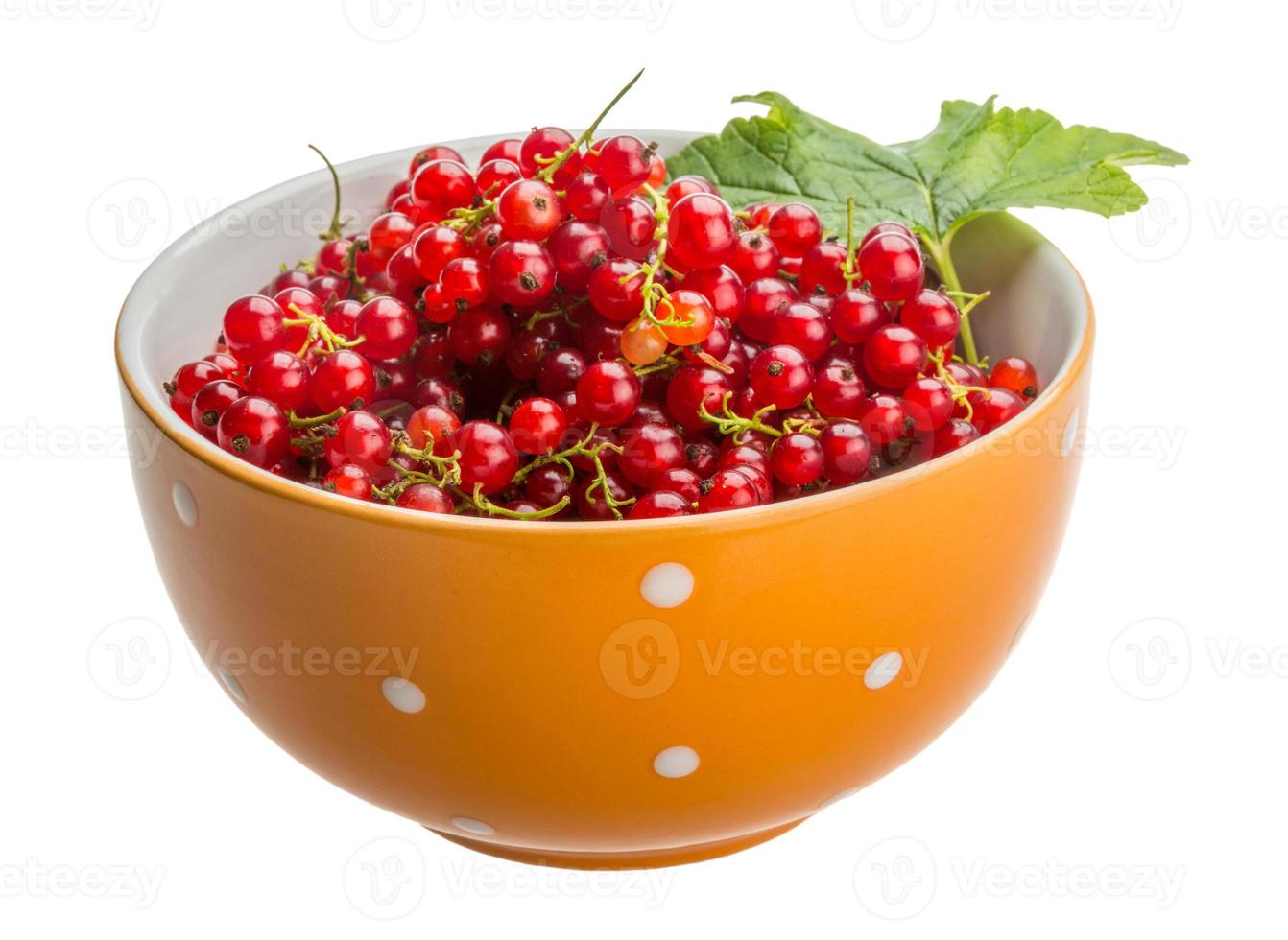 Red currant in a bowl on white background photo