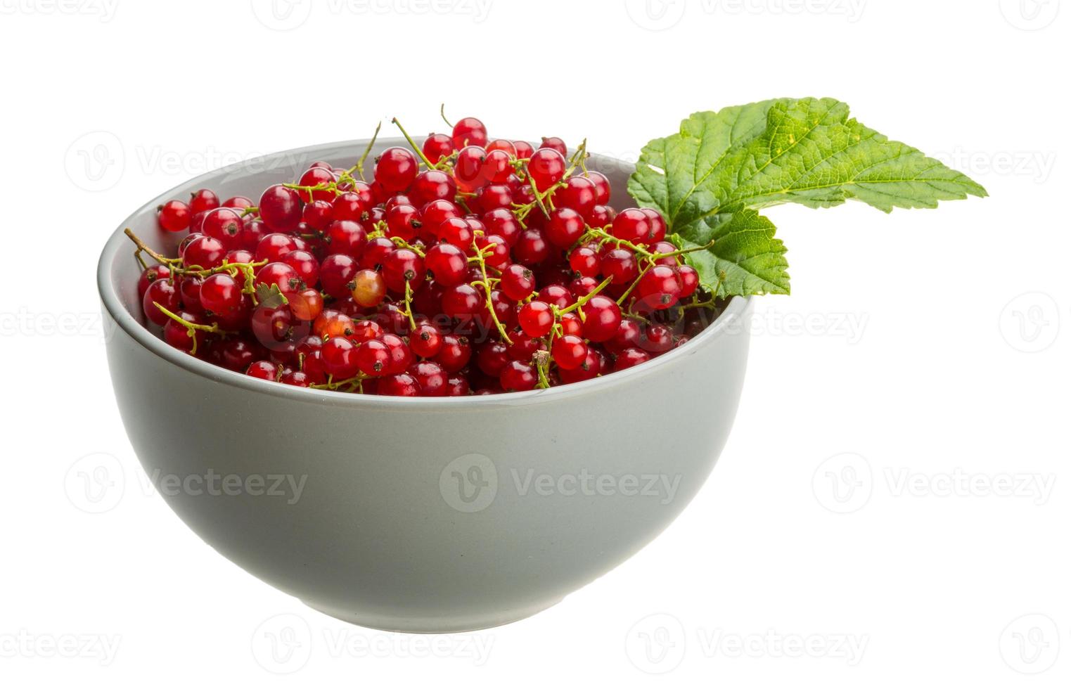 Red currant in a bowl on white background photo