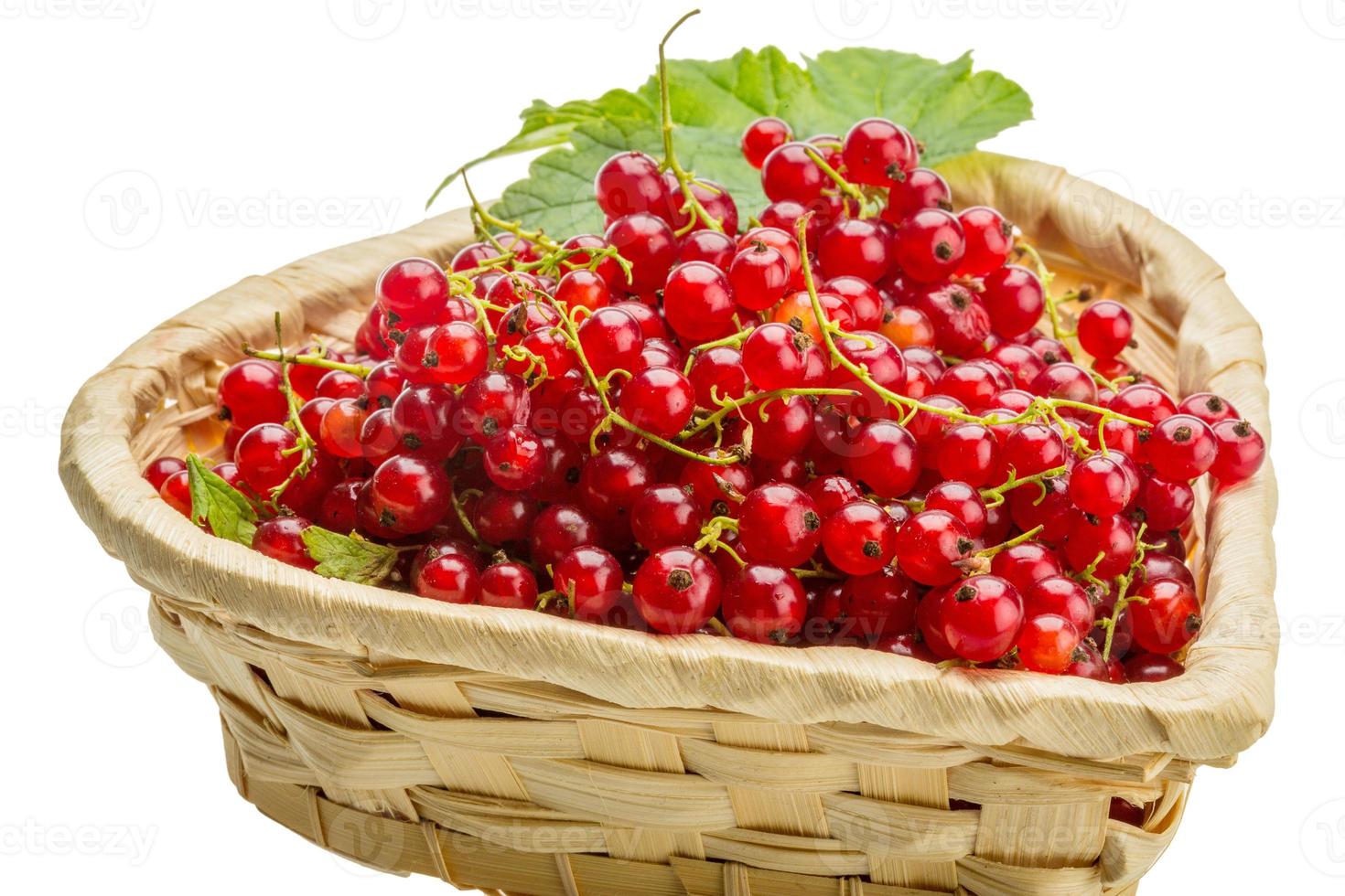Red currant in a basket on white background photo