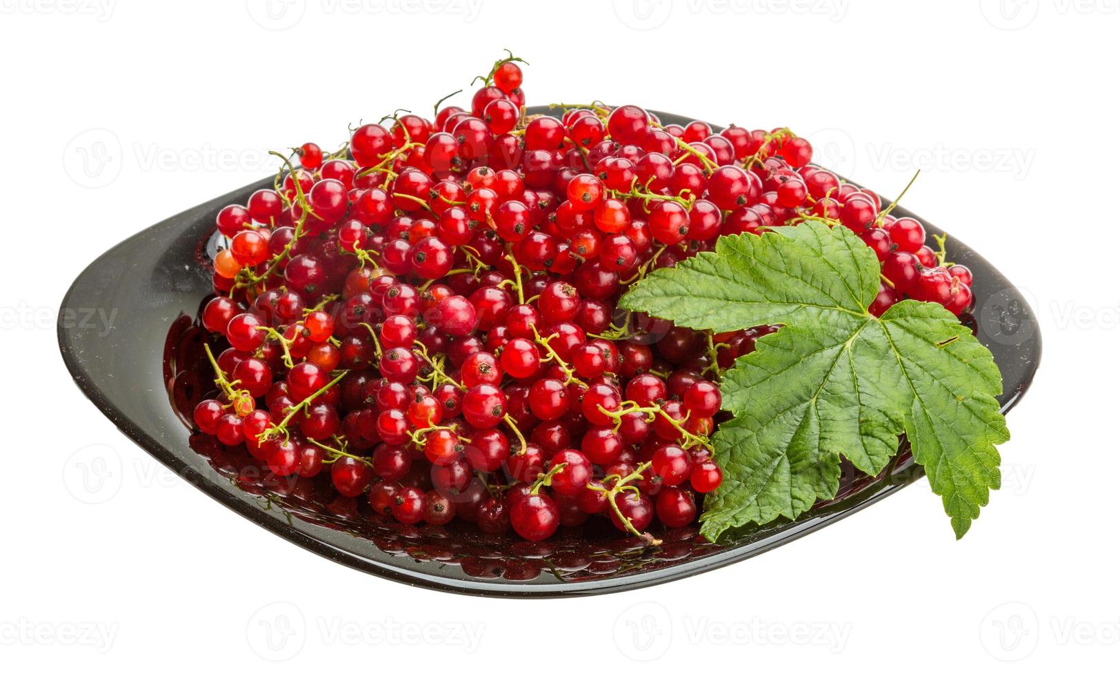 Red currant on the plate and white background photo
