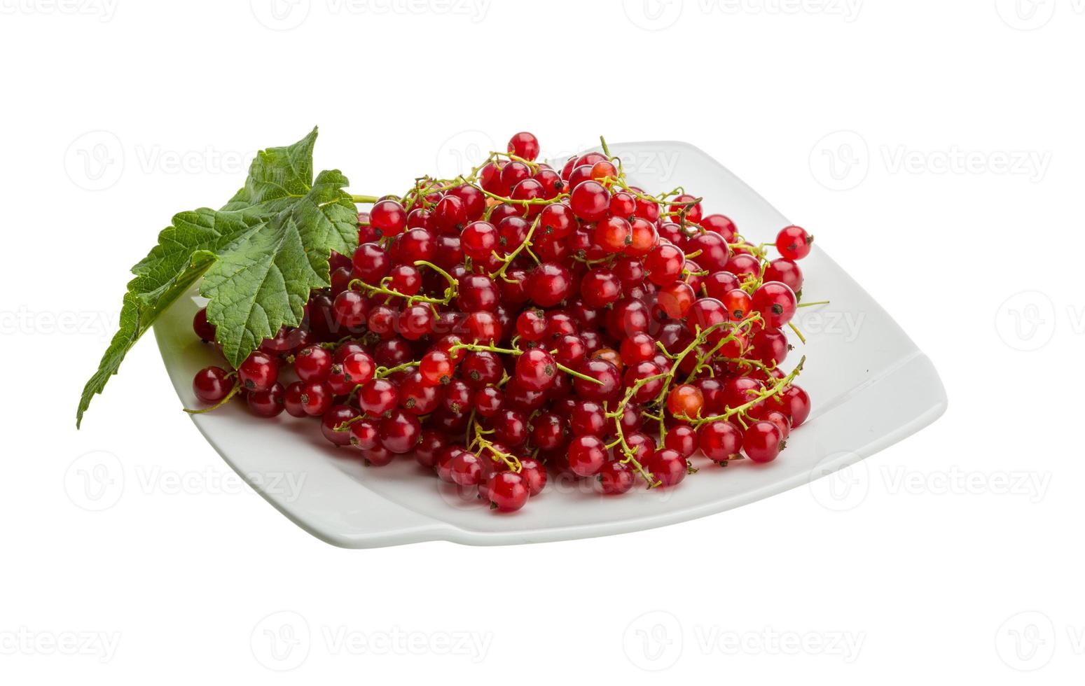 Red currant on the plate and white background photo