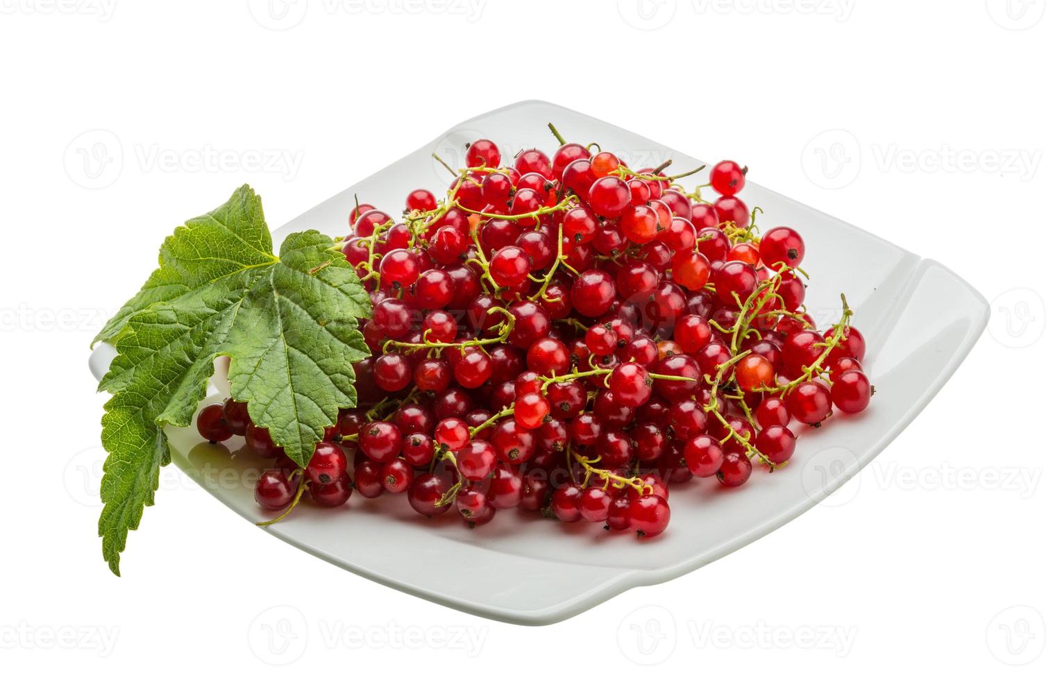 Red currant on the plate and white background photo