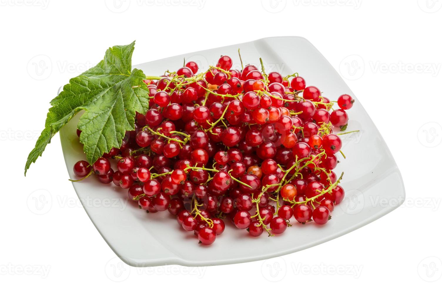Red currant on the plate and white background photo