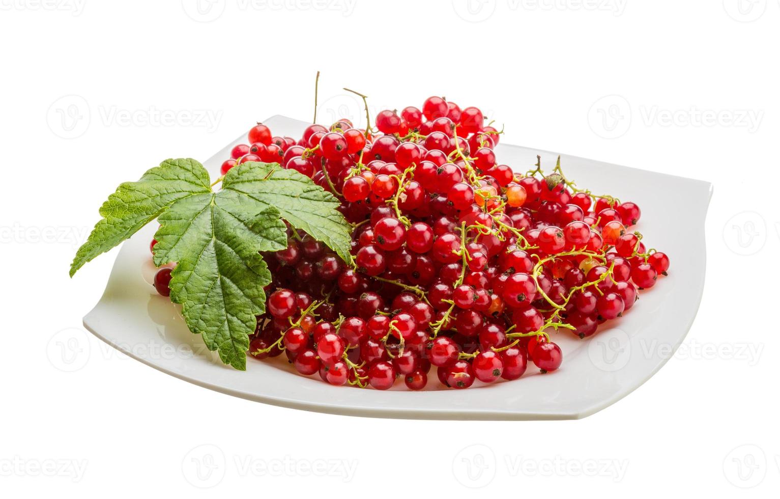 Red currant on the plate and white background photo