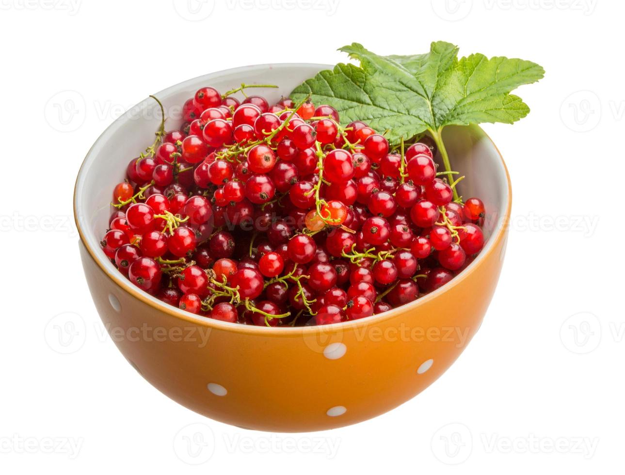 Red currant in a bowl on white background photo