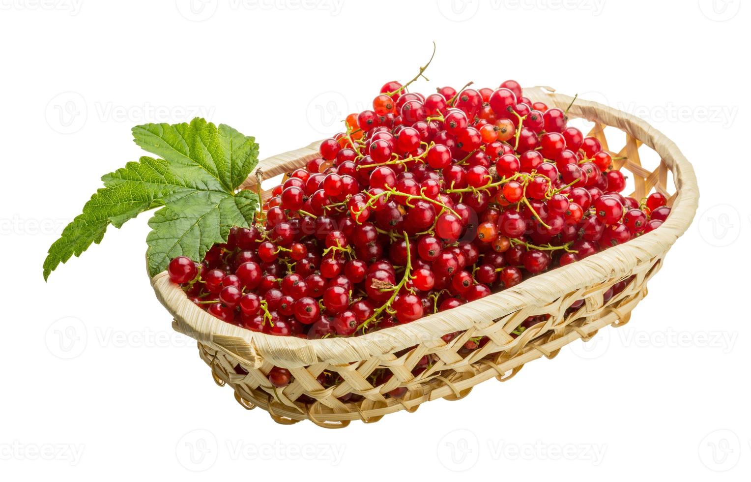 Red currant in a basket on white background photo