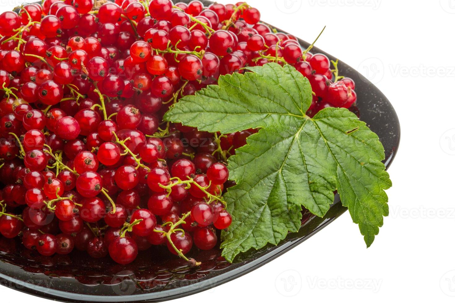 Red currant on the plate close up view photo