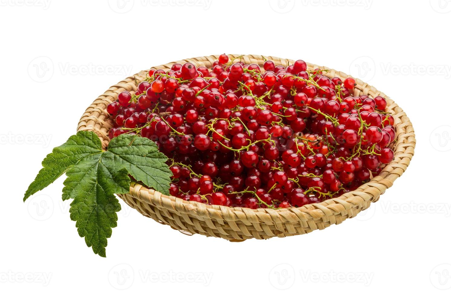 Red currant on wooden plate and white background photo
