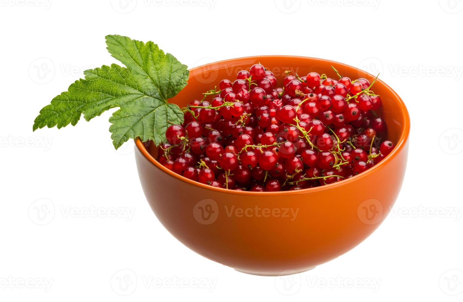 Red currant in a bowl on white background photo