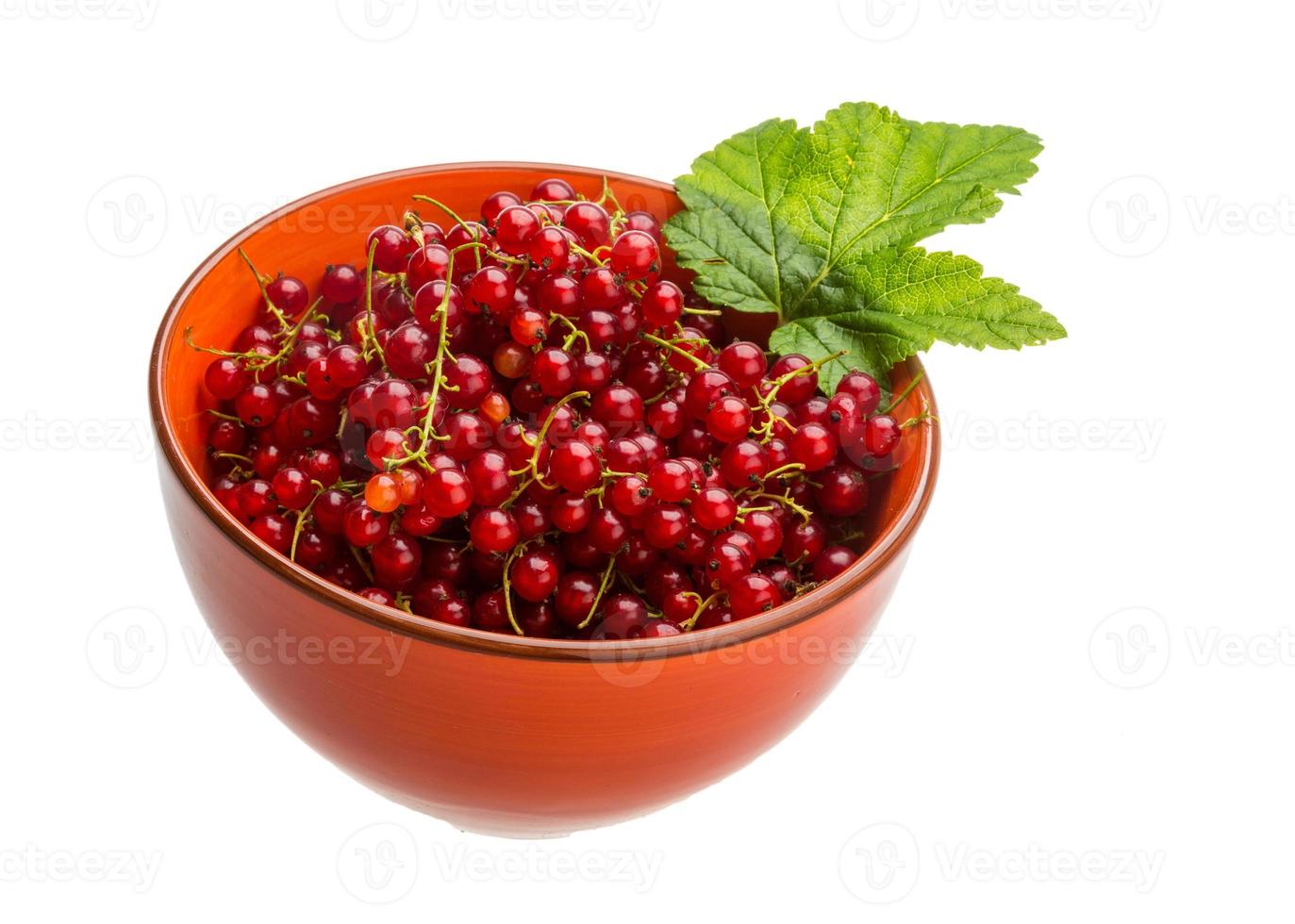 Red currant in a bowl on white background photo
