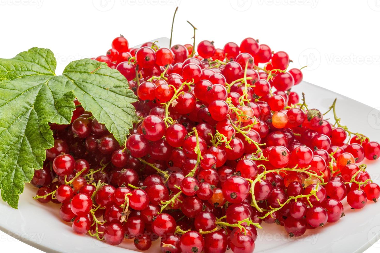Red currant on the plate and white background photo