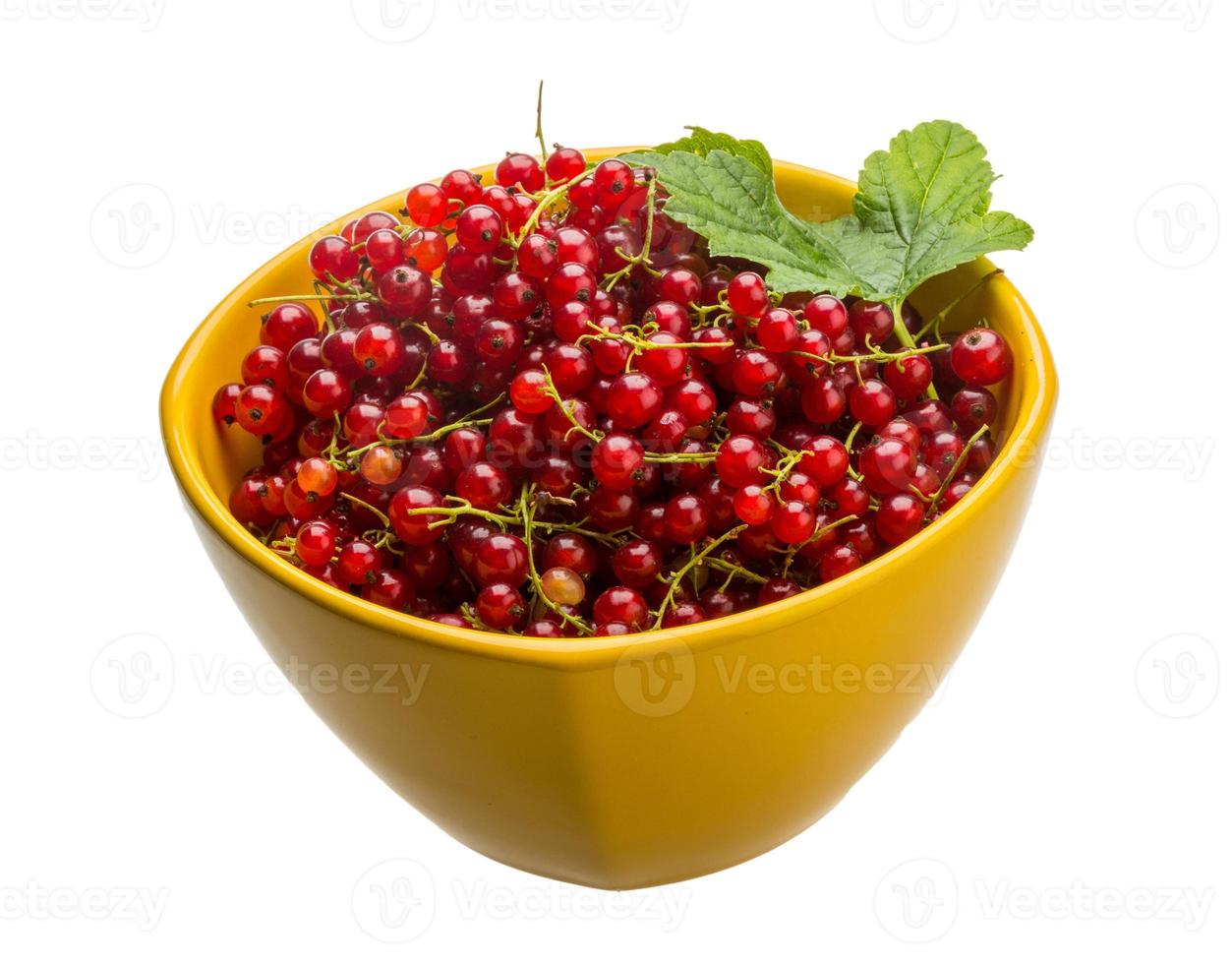 Red currant in a bowl on white background photo