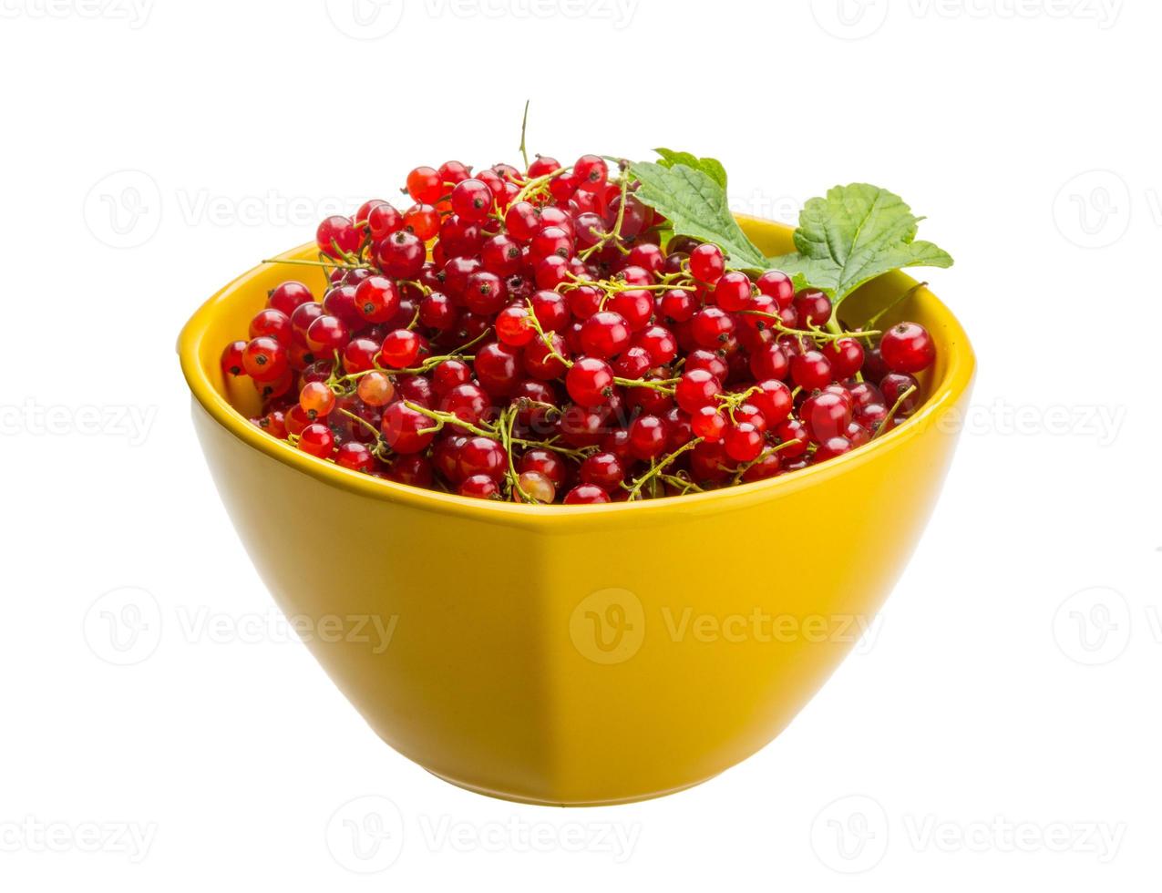 Red currant in a bowl on white background photo