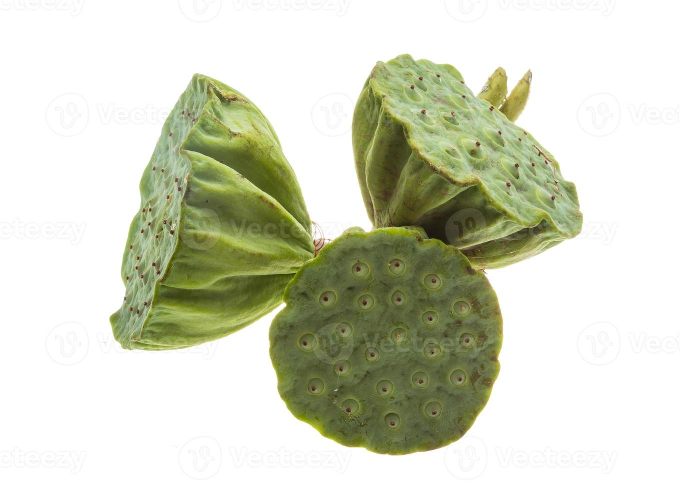 Lotus seeds on white background photo