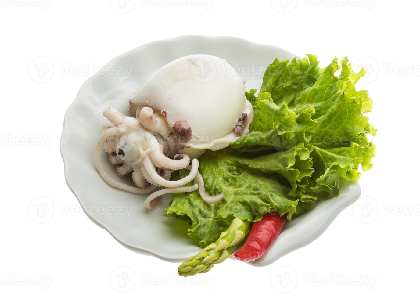 Boiled cuttlefish on the plate and white background photo