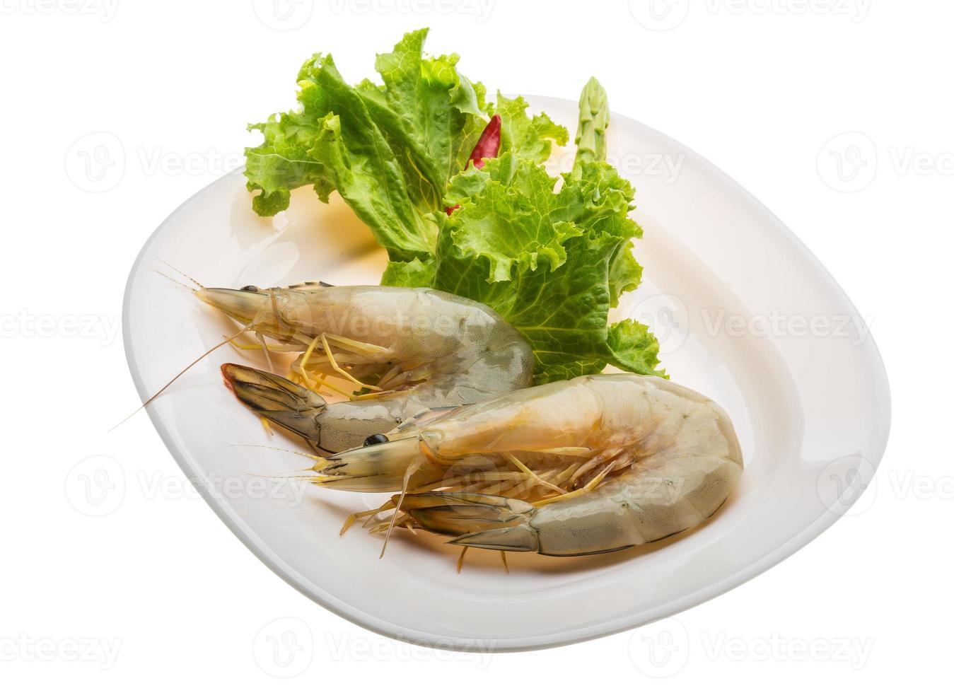 Tiger prawn on the plate and white background photo