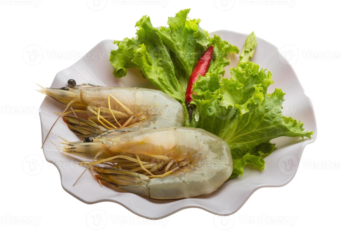 Tiger prawn on the plate and white background photo