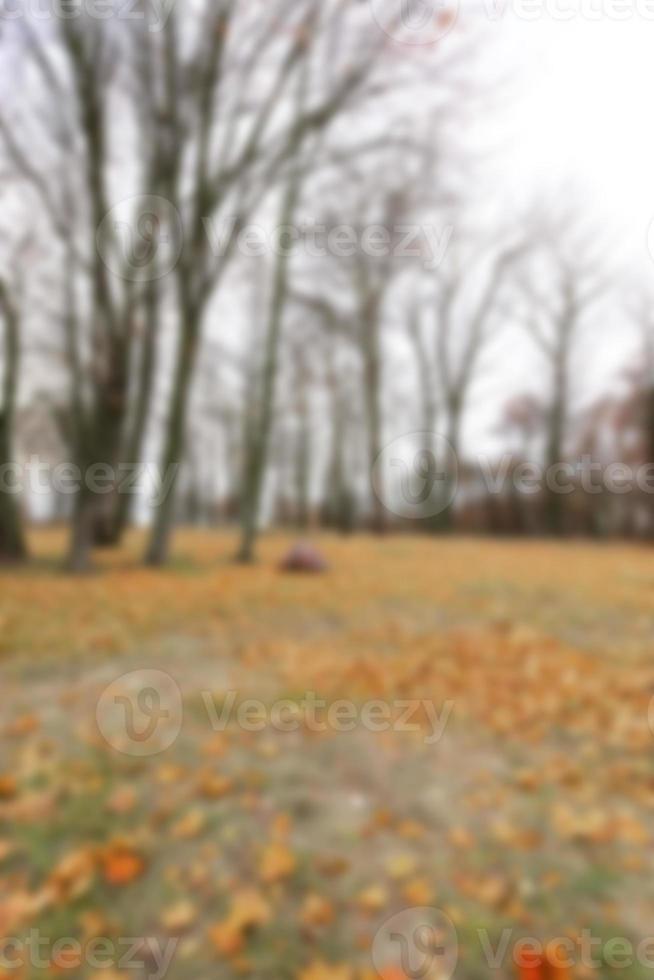 Autumn Park, overcast photo