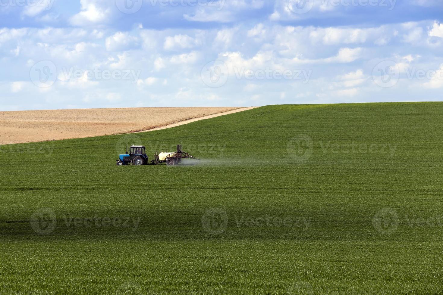 processing of cereals photo