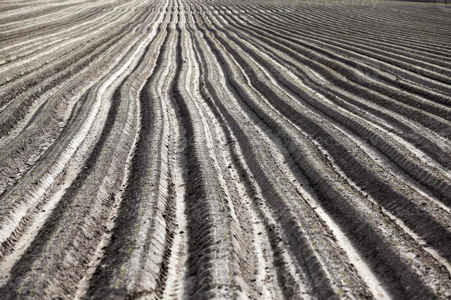 plowed field, furrows photo