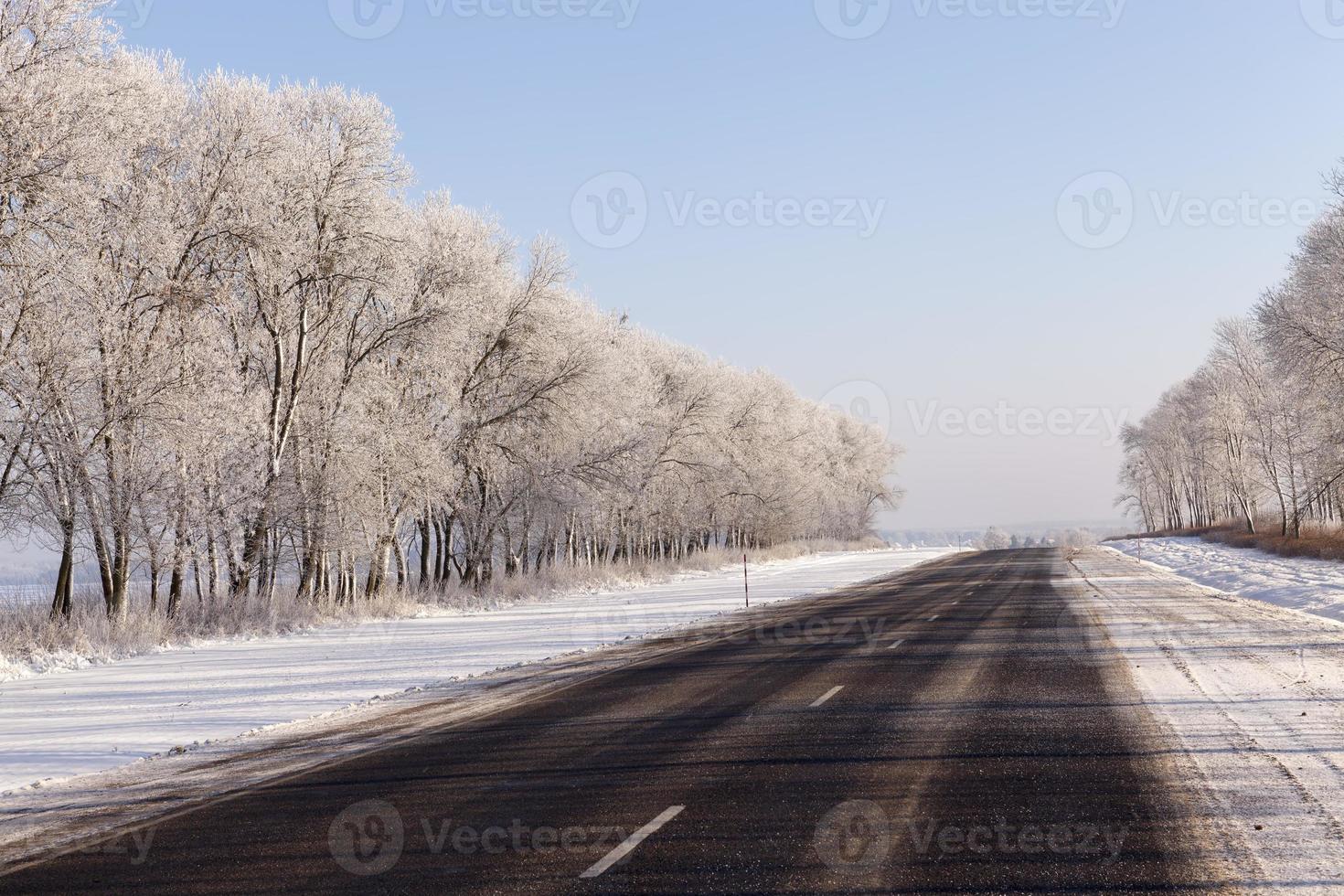 snowfall in the winter season and road asphalted photo