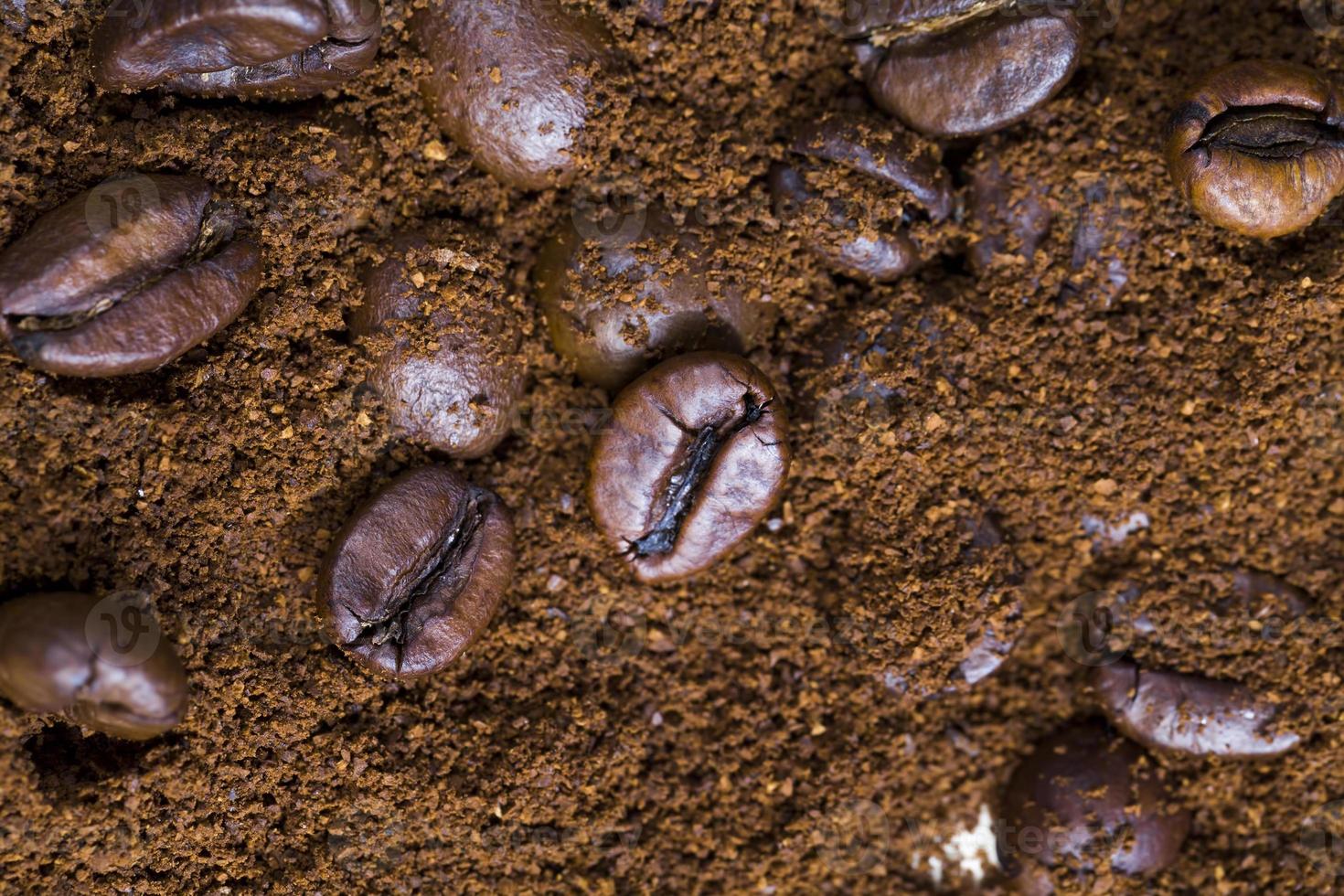 roasted coffee beans photo