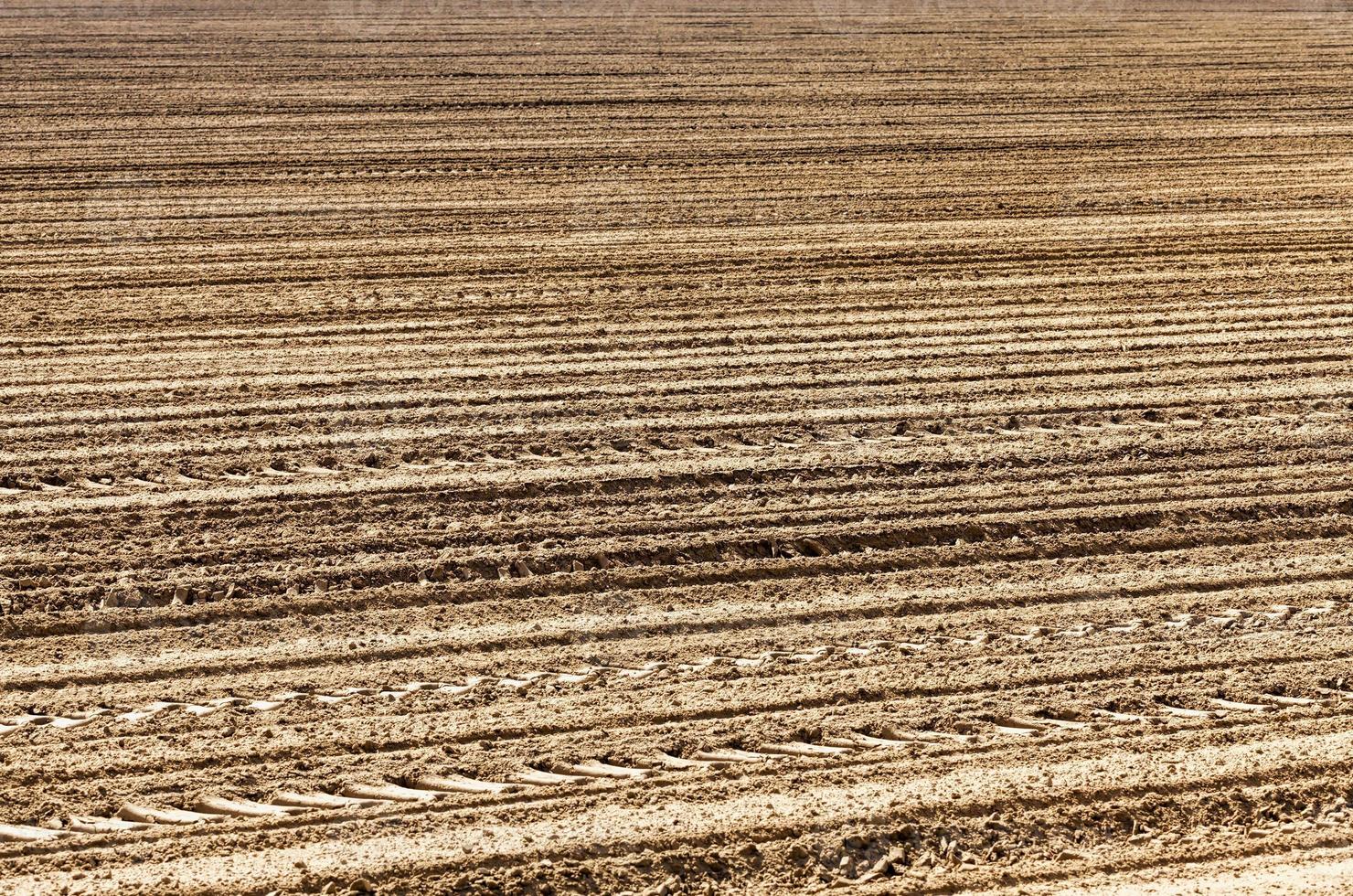 ploughed soil on which cereals are grown photo