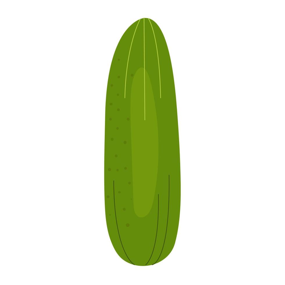 Simple single cute cucumber. Healthy food, vitamins, vegetables. Illustration in flat style vector