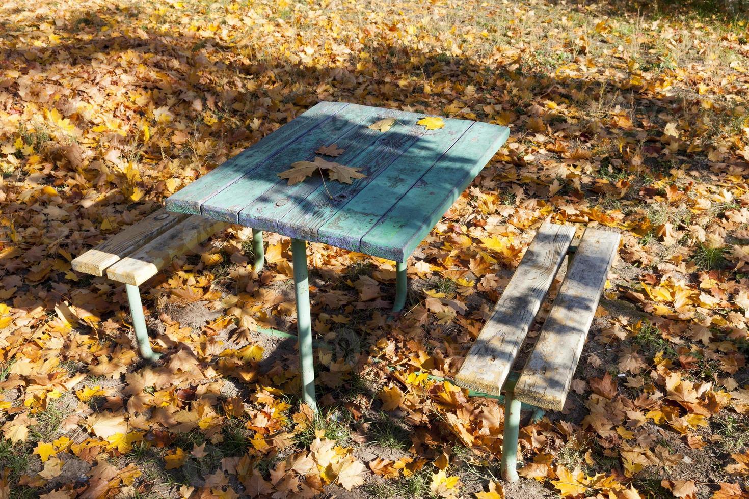 Autumn bench table park photo