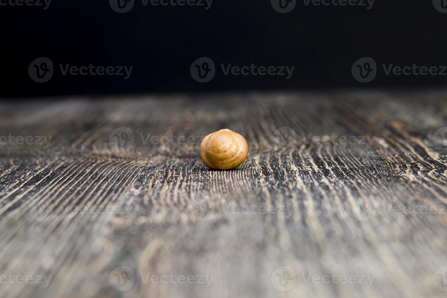 quality raw nuts ready to eat, hazelnuts photo