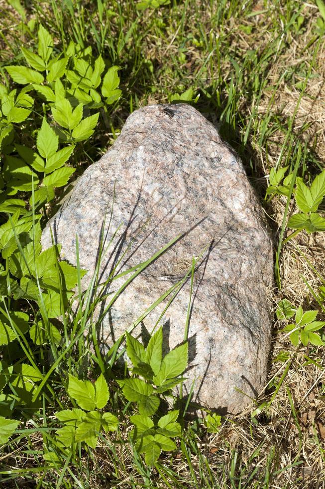 Stone on green photo