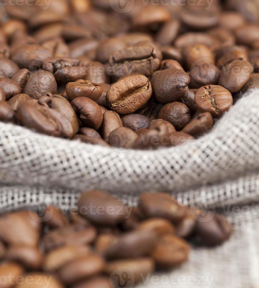 brown coffee beans photo