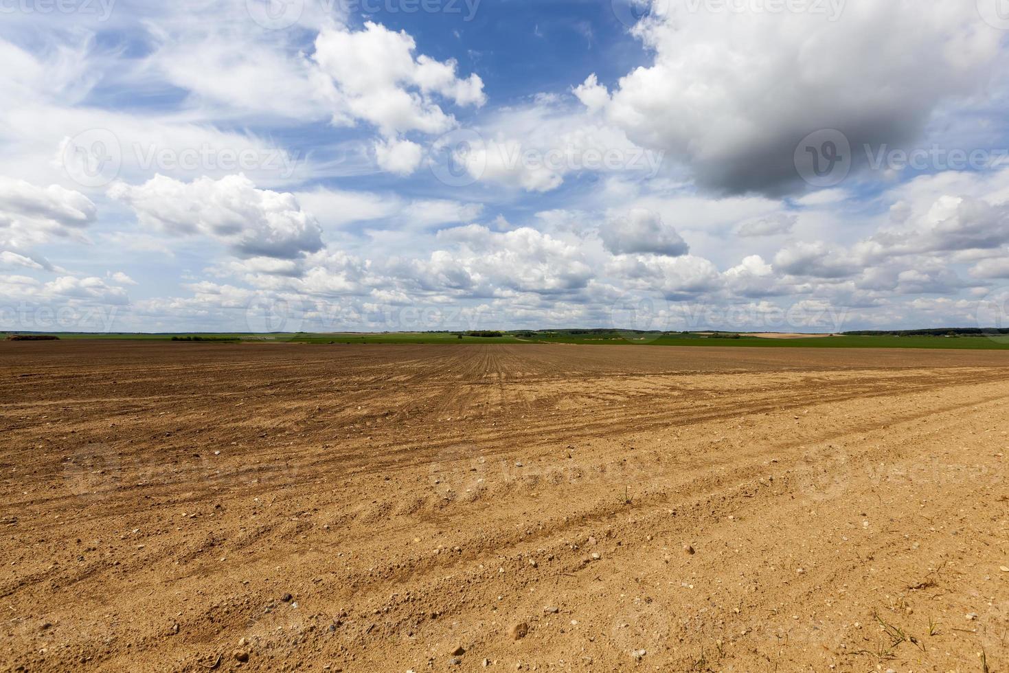 ploughed soil on which cereals are grown photo