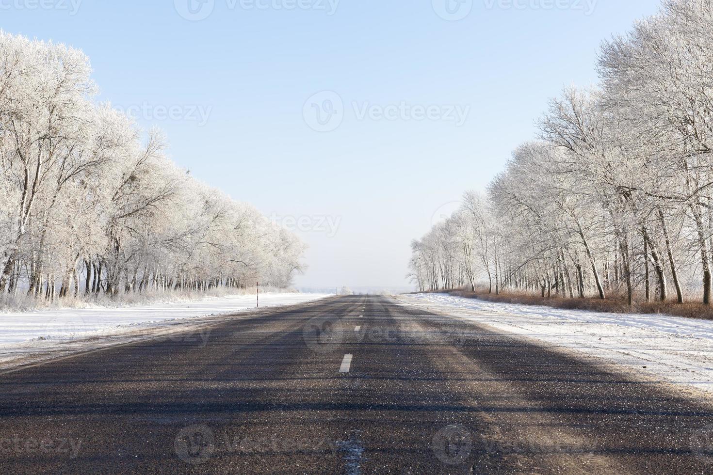 snowfall in the winter season and road asphalted photo