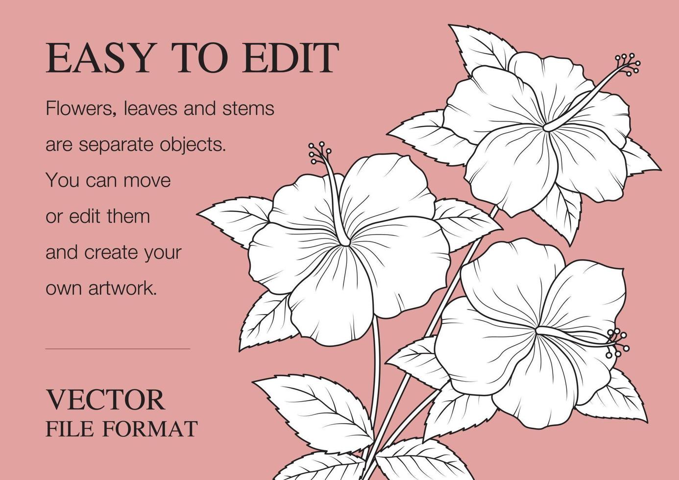 Beautiful hibiscus line art vector on sweet salmon pink color tone background with copy space for adding your text.