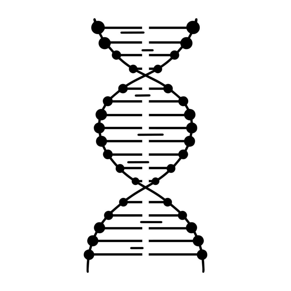 icono de vector de molécula de adn. cadena de ácido desoxirribonucleico aislada en blanco. símbolo de ingeniería genética, biotecnología. ADN humano, doble hélice. contorno plano negro para logotipo, web, aplicaciones