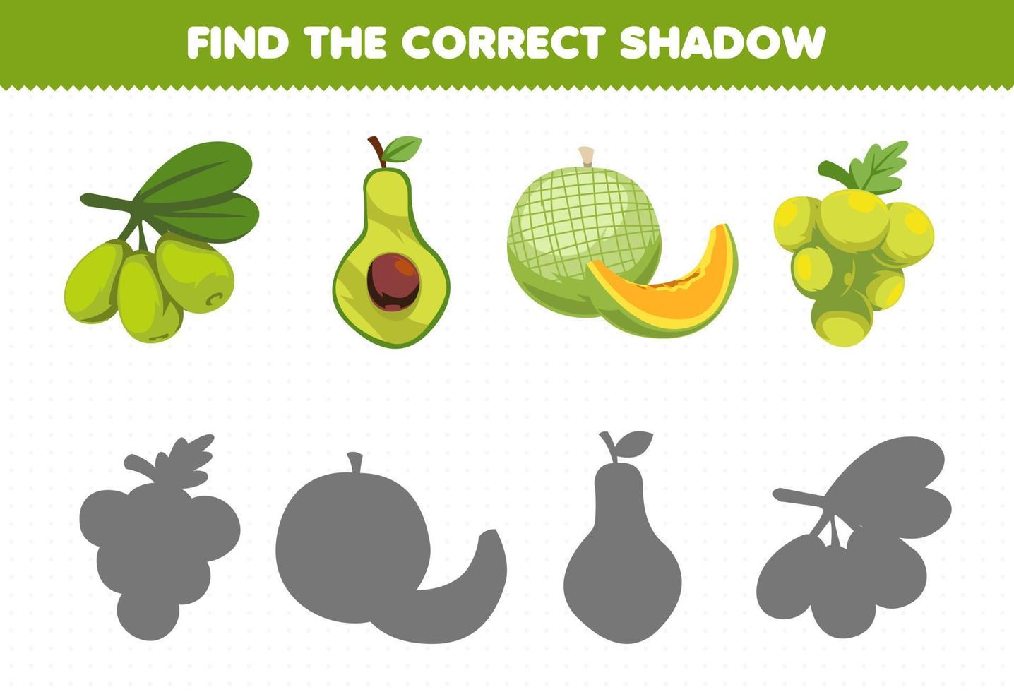 Education game for children find the correct shadow set of cartoon green fruits olive avocado melon grape vector