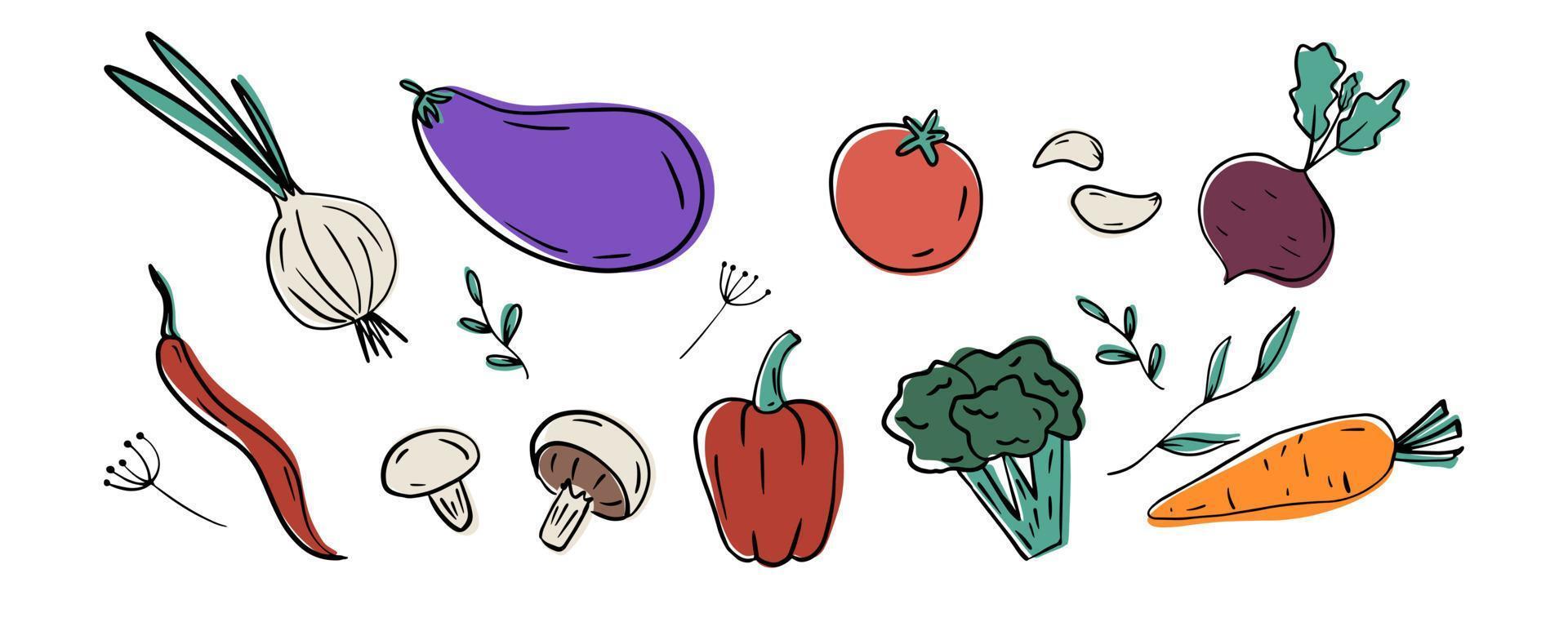 Vegetables set. Hand drawn onion, garlic, broccoli, tomato, peppers, carrots, mushrooms, beets, eggplant, hot peppers, dill. Vector illustration