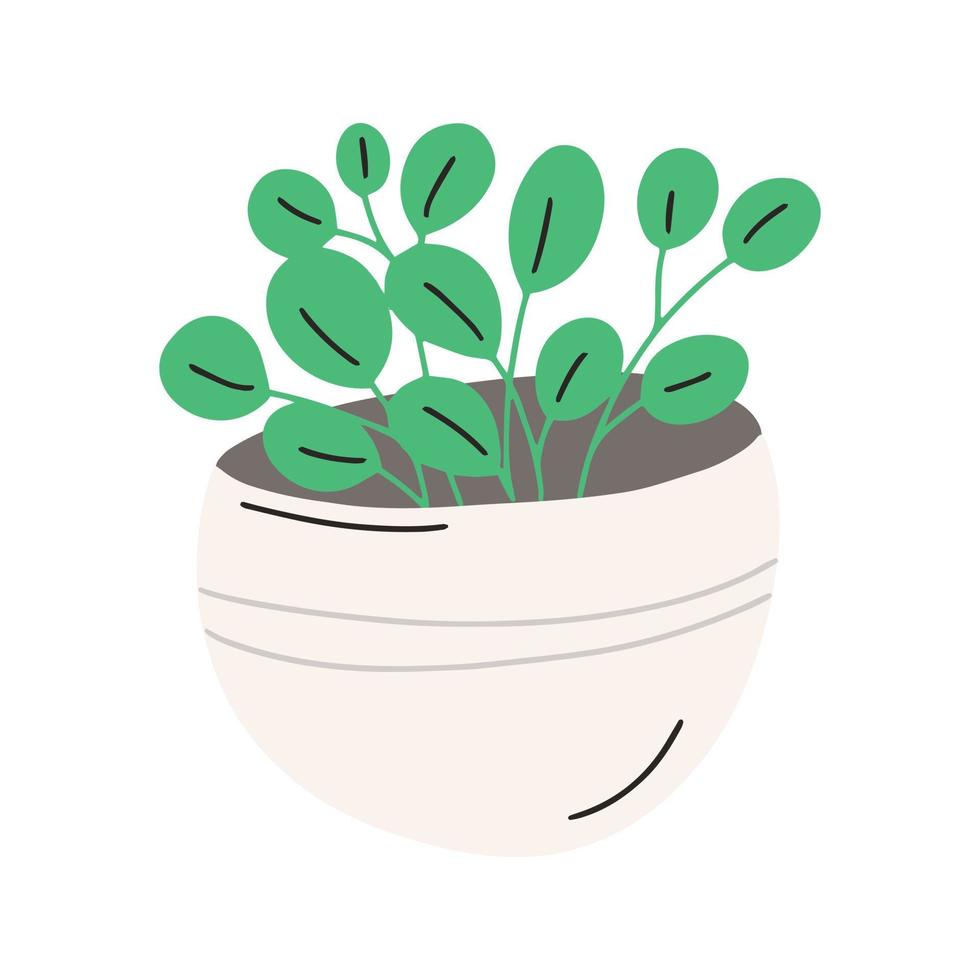 Plant pot. Vector illustration of flower in a pot