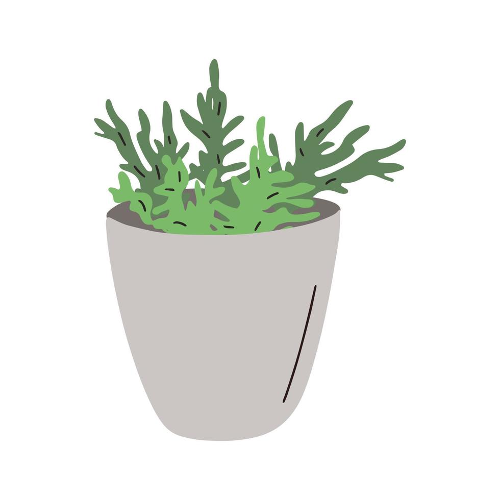 Plant pot. Vector illustration of flower in a pot