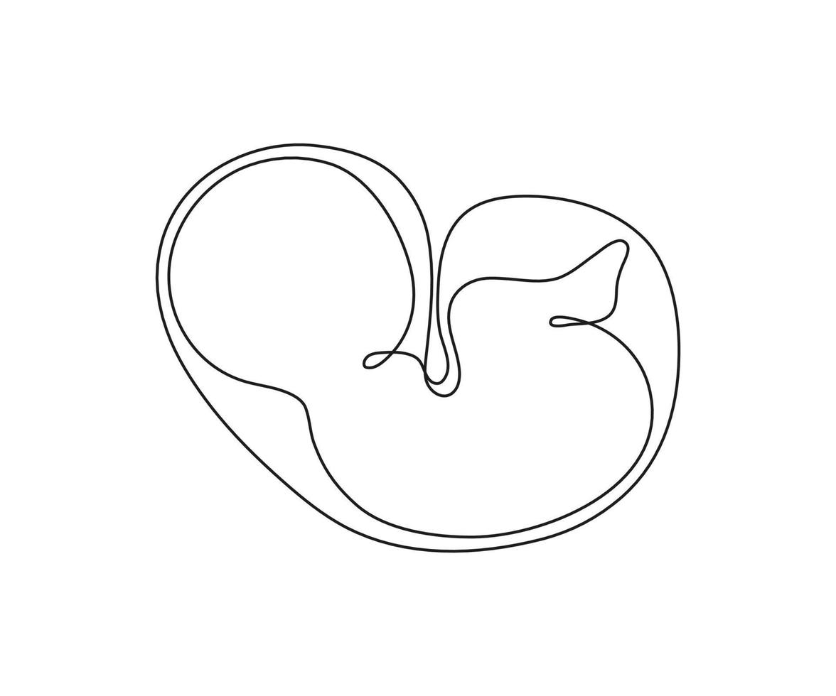 Baby embryo in womb, one art line continuous drawing. Silhouette cute unborn fetus child on mother womb in minimalism single outline draw. Little kid is lies on stomach. Vector illustration