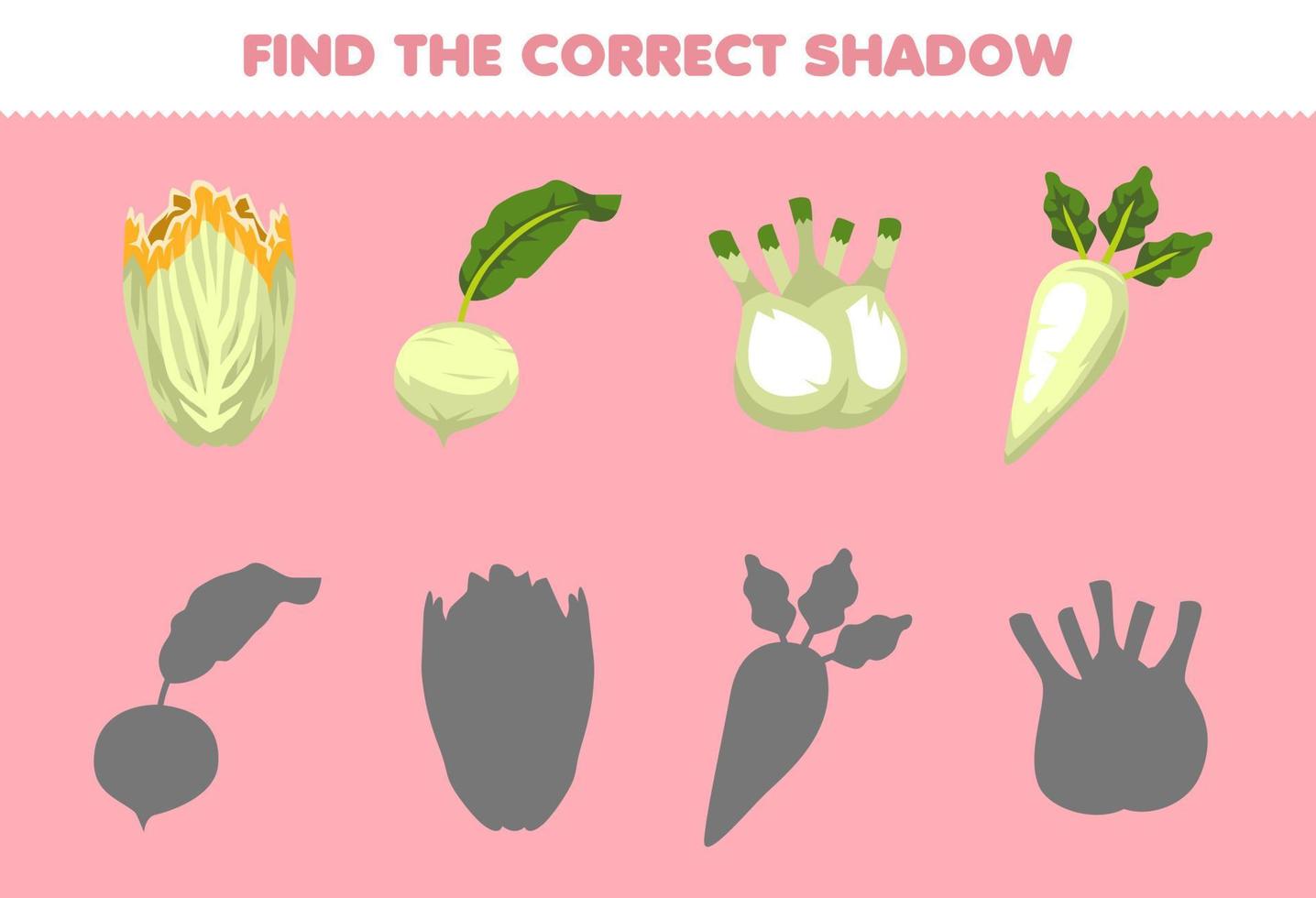 Education game for children find the correct shadow set of cartoon white vegetables witloof turnip daikon fennel vector