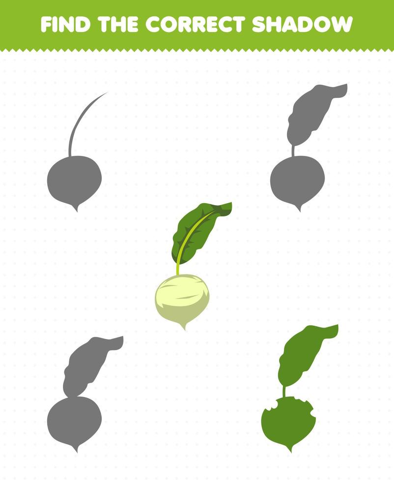 Education game for children find the correct shadow set of cartoon vegetable turnip vector