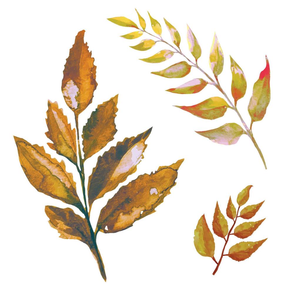 set dried leaves of trees in boho style illustration vector