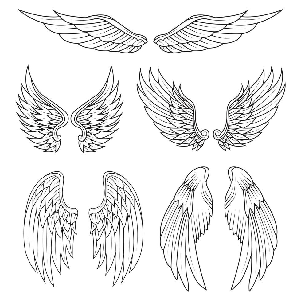 Black White Wings Icon Set. Angel wings. Feather Wings. Vector illustration