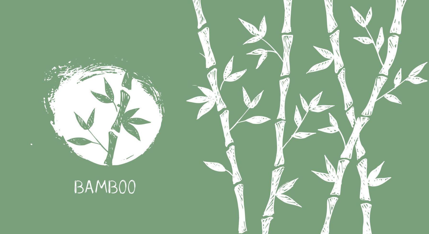 Bamboo tree. Hand drawn style. Vector illustrations.